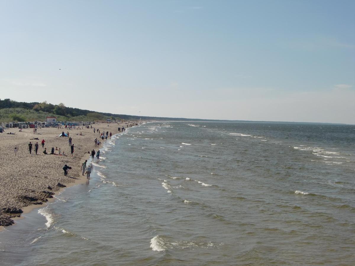 Fewo Zwei Plus Lägenhet Zinnowitz Exteriör bild